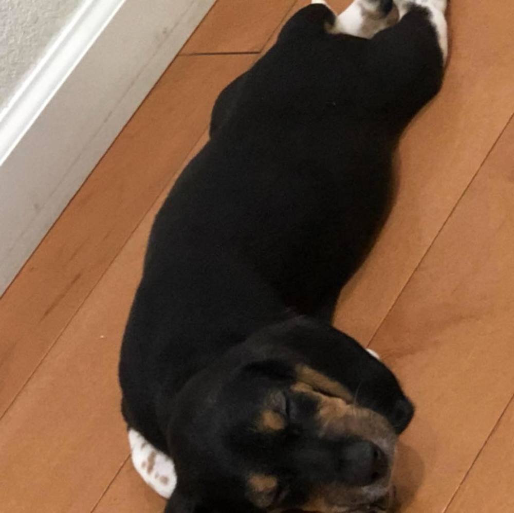 Meet your Posher, Dieu